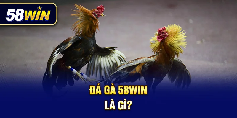 Trải nghiệm đá gà online như thật – mọi lúc, mọi nơi tại 58Win