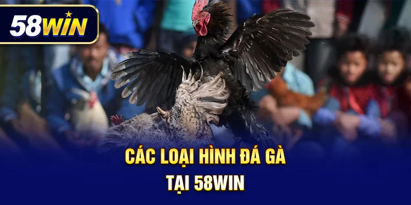 Đa dạng lựa chọn – phù hợp cả người mới lẫn dân chơi lâu năm