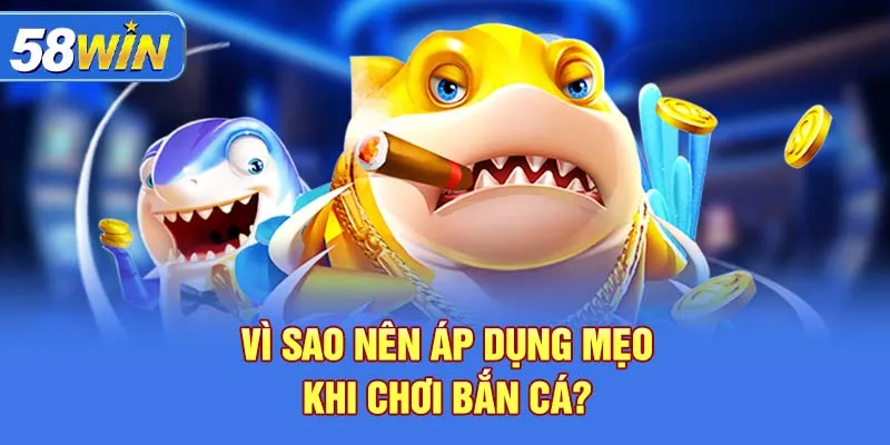 Biết mẹo chơi, xu sẽ về ví nhiều hơn bạn nghĩ