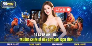 Đá gà 58WIN