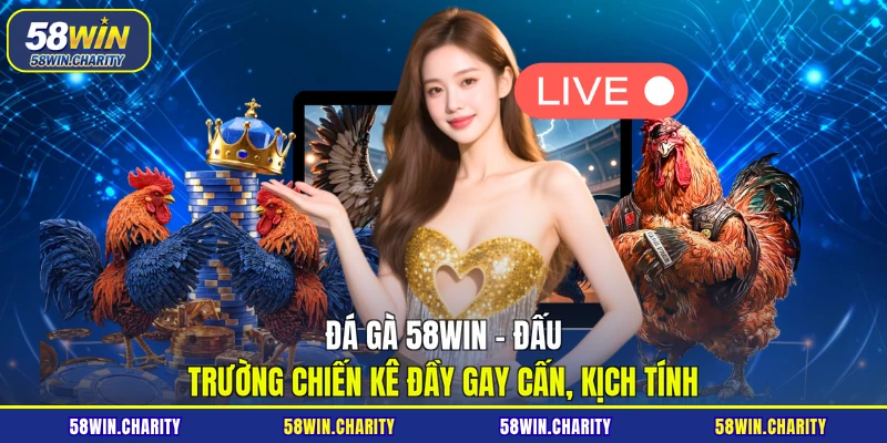 Đá gà 58WIN