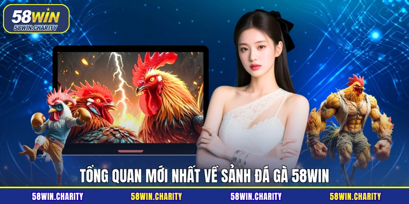 Tổng quan mới nhất về sảnh đá gà 58WIN