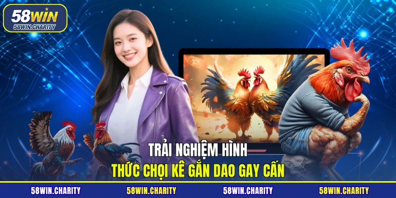 Trải nghiệm hình thức chọi kê gắn dao gay cấn